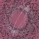 250000416