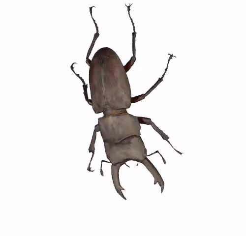 BugChain#000_3D