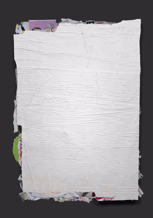 Item #1029 Media
