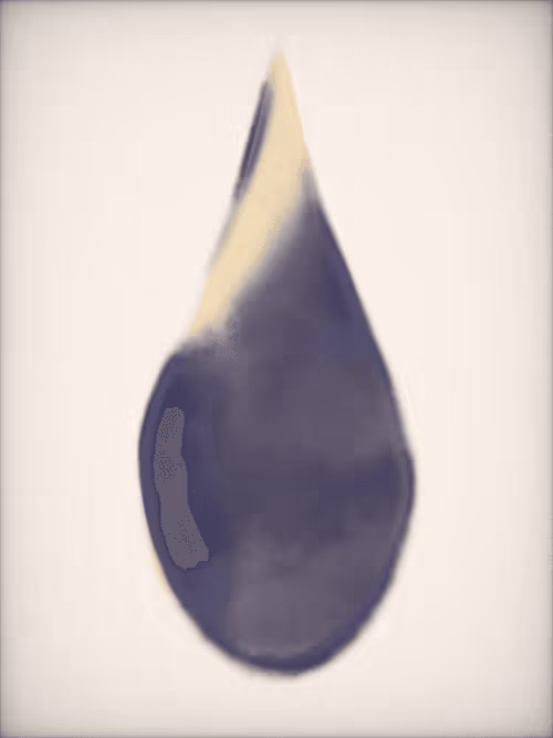 Item #924093246 Media