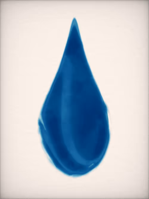 Item #1309631419 Media