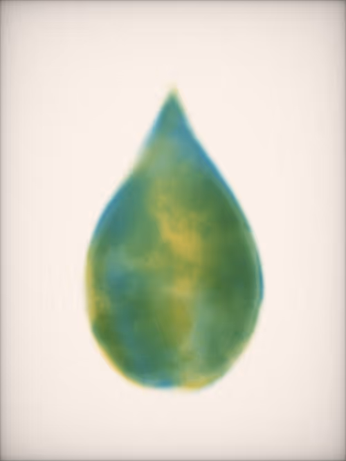 Item #1398632784 Media