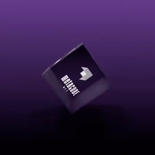 Item #28 Media
