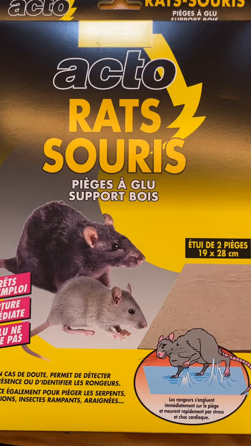 Item #44 Media