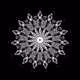 Deprived America Body Mandalas