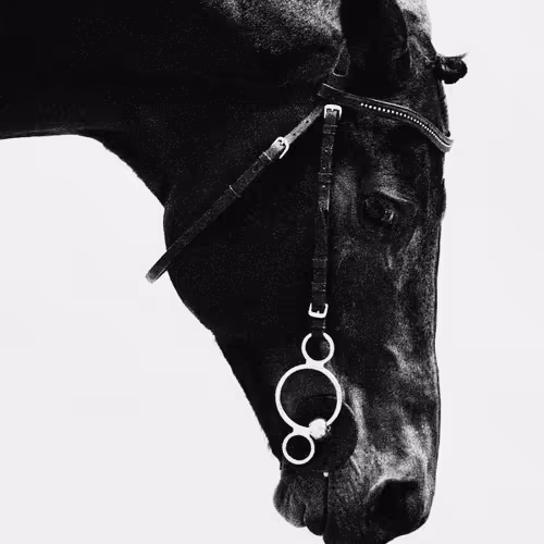 Acquaintance by zzabegin