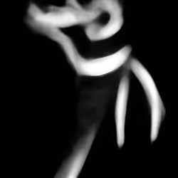 13209023