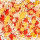 11525007