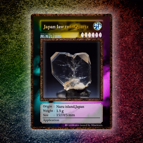 Item #3 Media