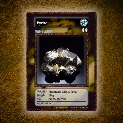 Item #32 Media