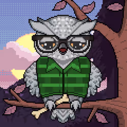 Night Owls #1546
