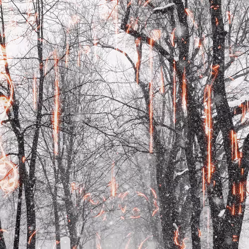 WINTRY RAGE