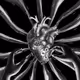 The Dreams - UrEmAL9QGy