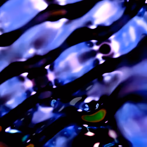 Item #3133532237 Media