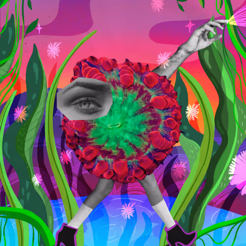 6
