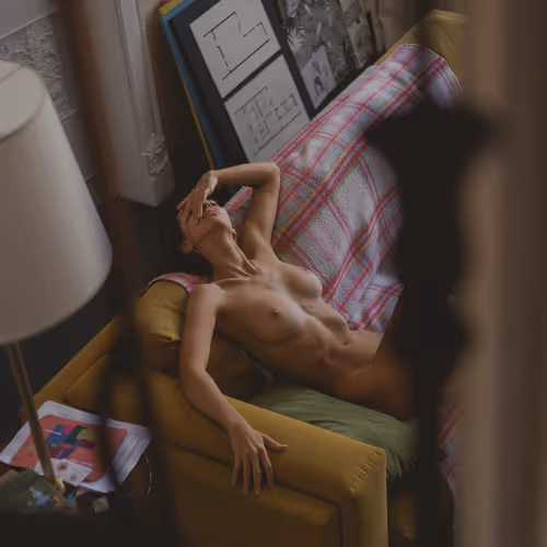 Gallery Muse
