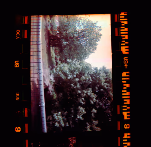 Item #1240 Media