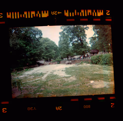 Item #997 Media