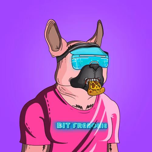 Item #557 Media