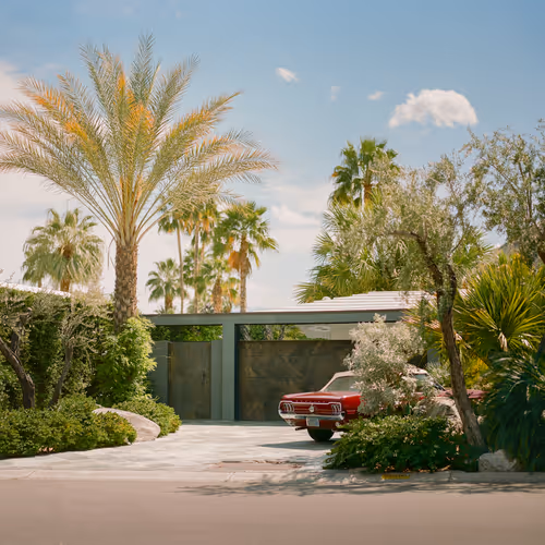 A portrait of Palm Springs