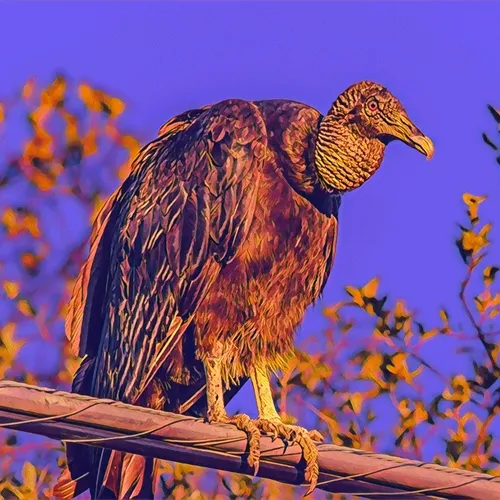 Glitchybirds