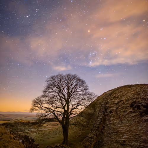 SYCAMORE GAP ORIONS BELT