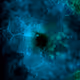 Blink of Bytes