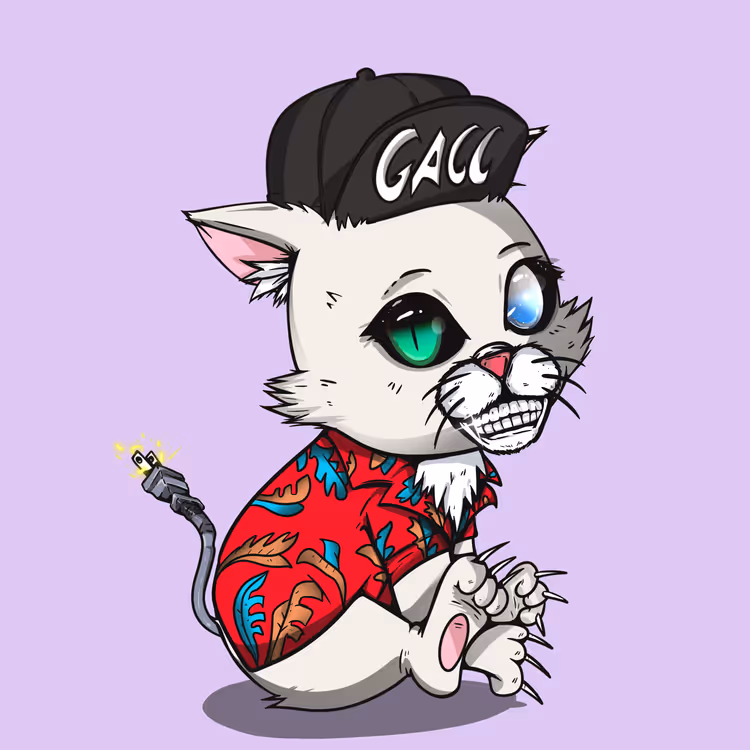 Kitten #768