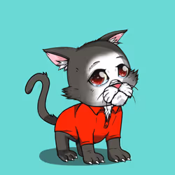 Kitten #1124