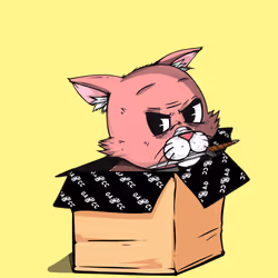 Kitten #728