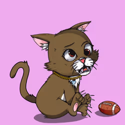 Kitten #247