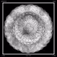 Innerbloom