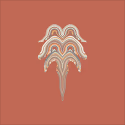 Morphology by Emily Xie #513