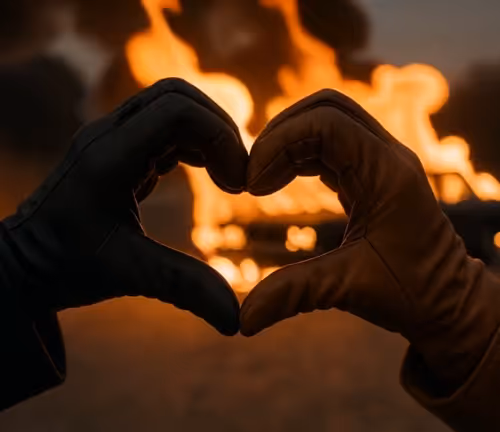 Vandalove