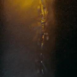 24532