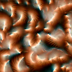 Genomes #1
