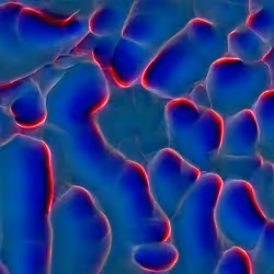 Genomes #233