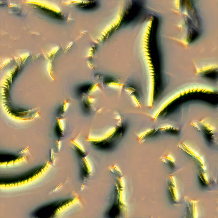 Genomes #2342