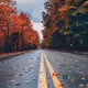 autumn road