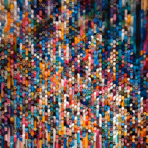 GenoMorph Gallery
