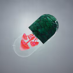 BYOPILL 262