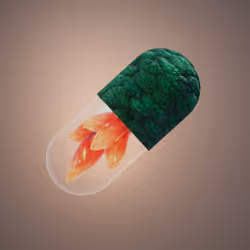 BYOPILL 6550