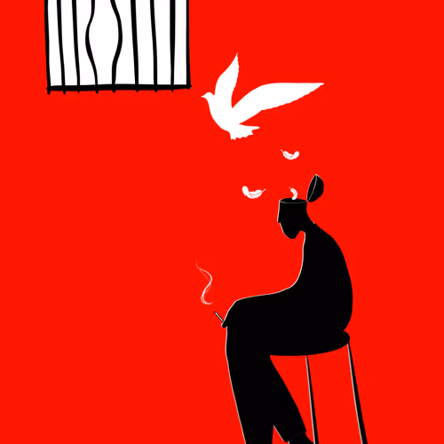 Niloufar Kiarostami Illustrations