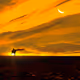 Horizon