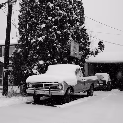 Grayscale Gallery