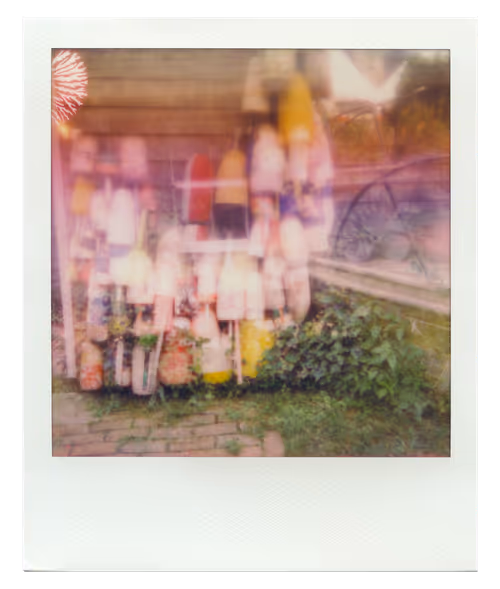 Item #31 Media