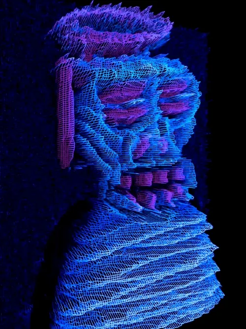 Item Media