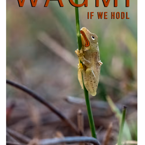 WAGMI If We HODL