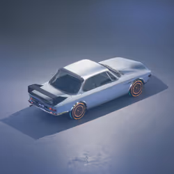 301 WSLW 1971
