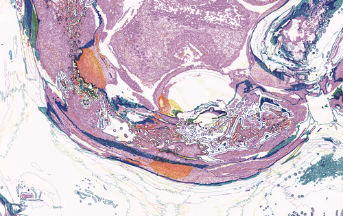 Item #1029143595 Media